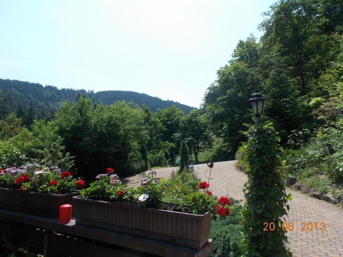 Gaestezimmer Haus Talblick Lautenthal Exteriör bild
