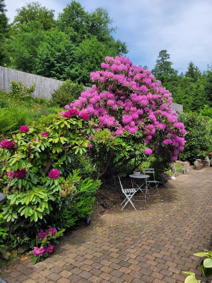 Gaestezimmer Haus Talblick Lautenthal Exteriör bild